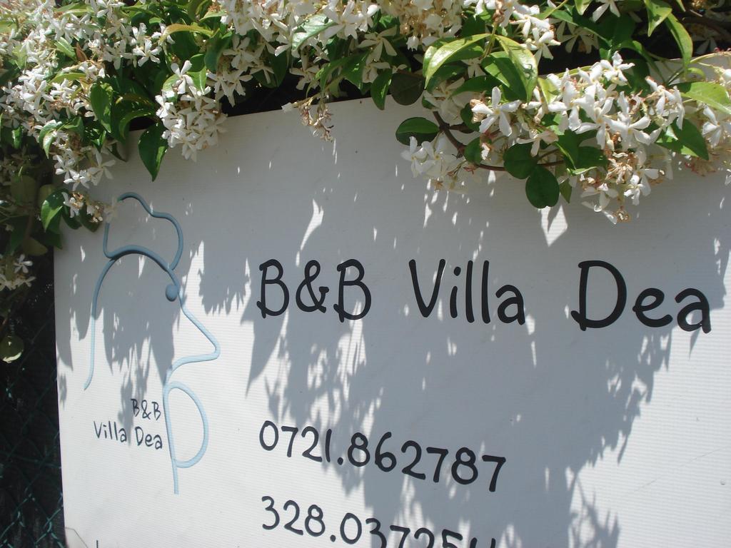 פאנו Villa Dea מראה חיצוני תמונה